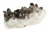 Smoky Quartz Crystal Cluster with Phantoms- Brazil #120766-1